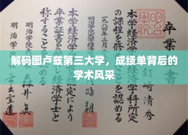 图卢兹第三大学揭秘，揭秘成绩单背后的学术魅力