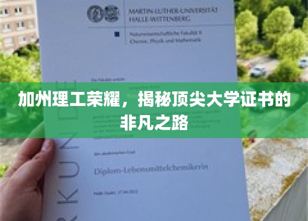 解码加州理工骄子，揭秘精英学府的辉煌成就之路