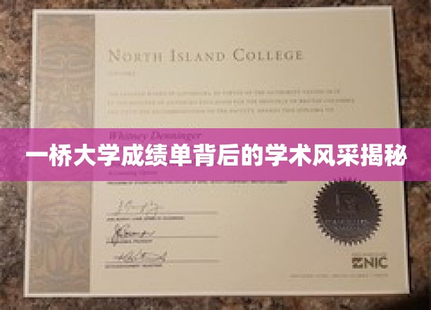 一桥大学成绩单背后的学术风采揭秘