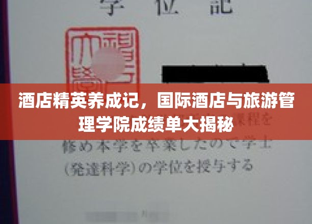 酒店行业翘楚养成记，国际酒店与旅游管理学院优秀学员档案大公开