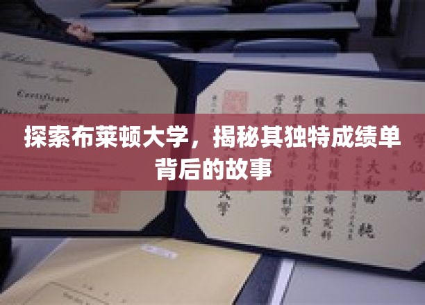 探索布莱顿大学，揭开其独特成绩单背后的奥秘