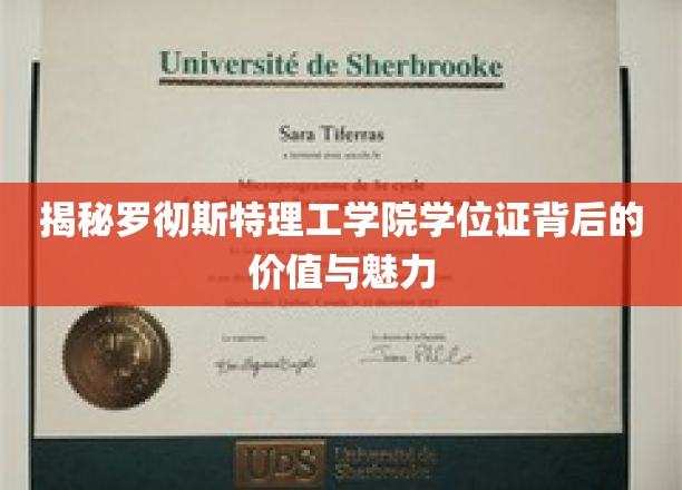 揭秘罗彻斯特理工学院学位证背后的价值与魅力