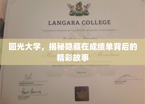 揭开圆光大学成绩单背后的传奇篇章
