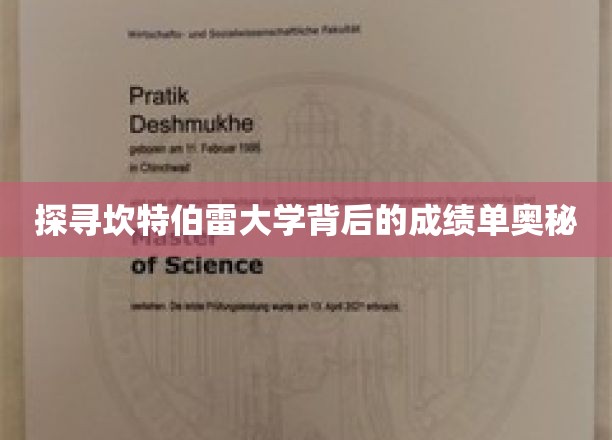 揭开坎特伯雷大学卓越成绩的秘密面纱