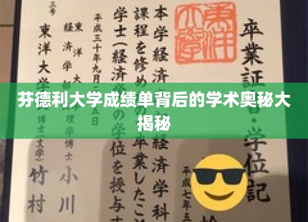 解码芬德利大学成绩单，揭开学术评价的神秘面纱