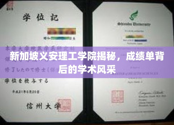 新加坡义安理工学院揭秘，成绩单背后的学术风采