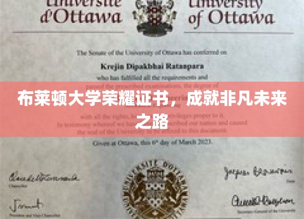 布莱顿大学荣耀证书，成就非凡未来之路