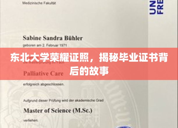 东北大学毕业证书之光，探寻荣耀背后的传奇历程