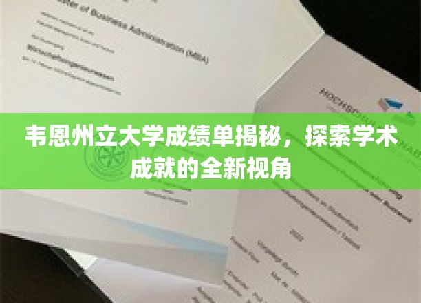 揭开韦恩州立大学成绩单的奥秘，学术成就的深度洞察