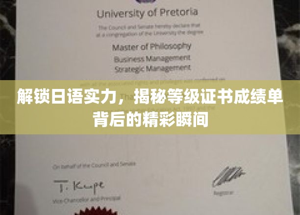 揭秘日语实力，探索等级证书成绩单背后的精彩瞬间