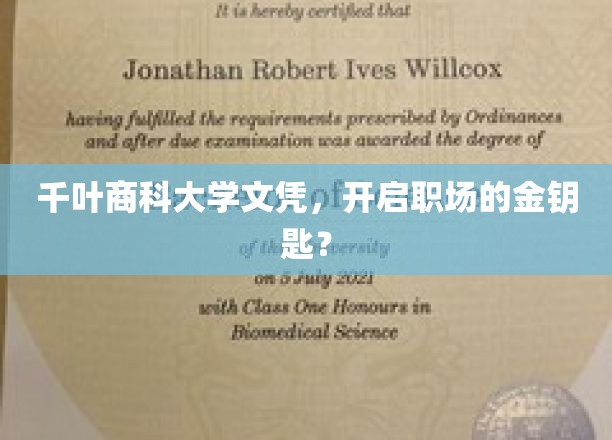 千叶商科大学文凭，职场敲门砖，解锁成功新篇章