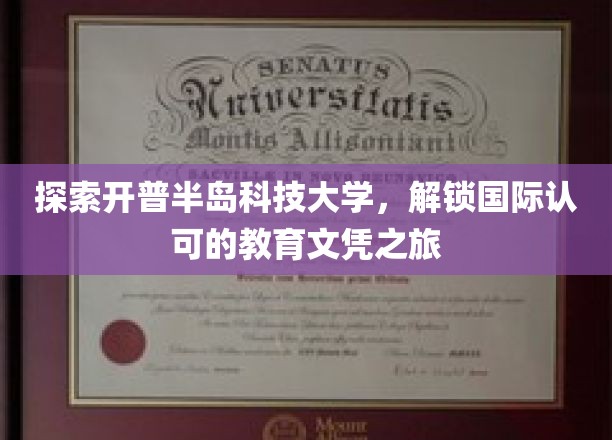 踏上开普半岛，解锁全球通行证的学府之旅