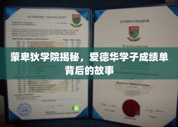 蒙卑狄学院秘闻，揭开爱德华学子高分背后的奋斗历程