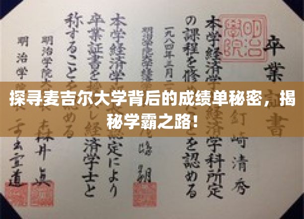 解锁麦吉尔大学学霸传奇，揭秘非凡成绩背后的秘密之旅！