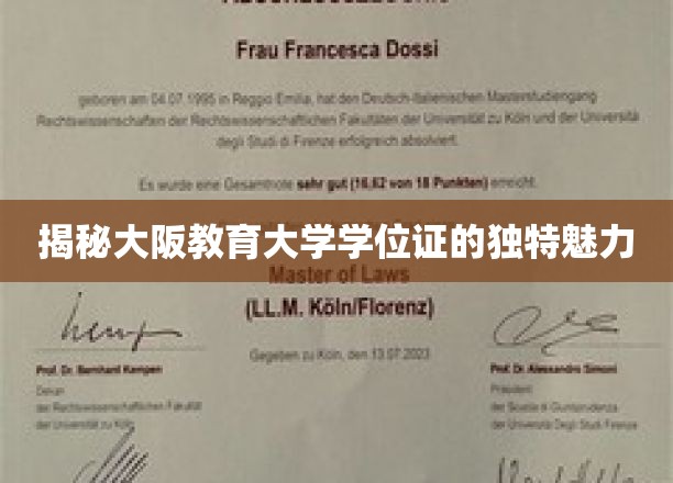 探索大阪教育大学学位证书的非凡风采