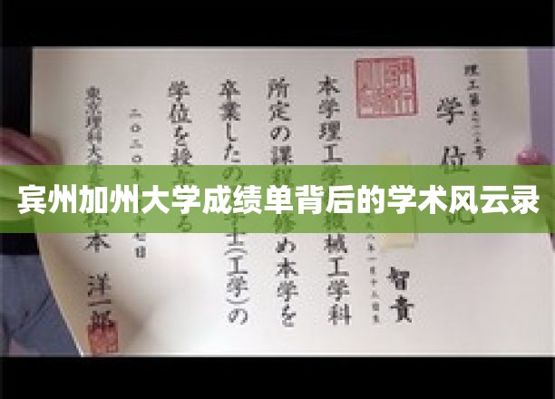 宾加加州大学成绩单揭秘，一场隐藏的学术风云对决