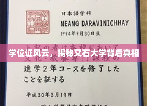 高校学位之谜，又石大学背后的不凡真相揭晓