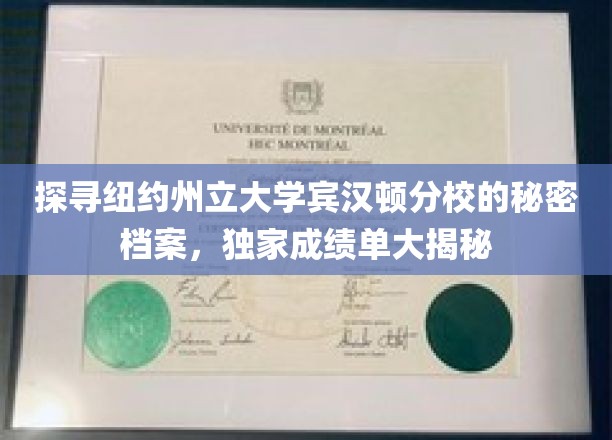 解锁宾汉顿分校神秘档案，纽约州立大学成绩单独家探秘