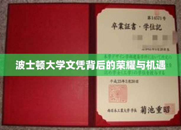 波士顿大学文凭背后的荣耀与机遇
