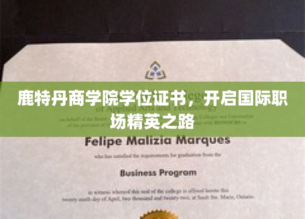 鹿特丹商学院学位，助力你成为国际职场闪耀之星