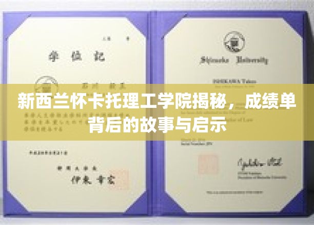 解码新西兰怀卡托理工学院，成绩单背后的深度解读与人生启示
