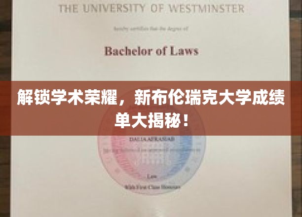新布伦瑞克大学成绩单背后的荣耀密码