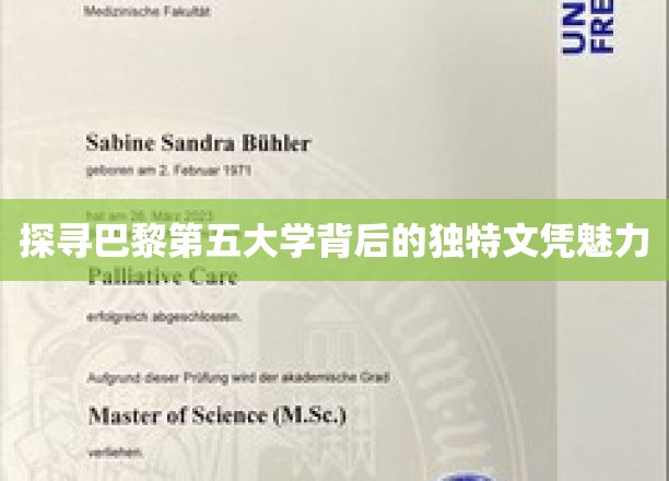 解码巴黎第五大学，探索精英教育的独特文凭奥秘