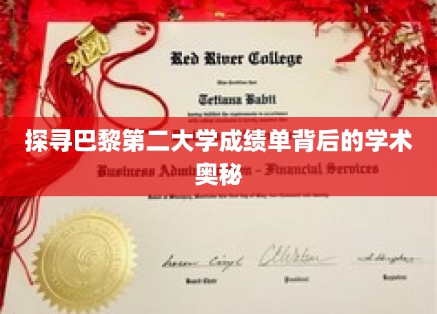 解码巴黎第二大学成绩单，揭示学术成就的秘密之门