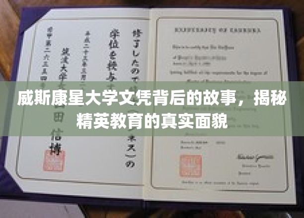 探寻威斯康星大学文凭背后的秘密，精英教育的真实图景揭晓