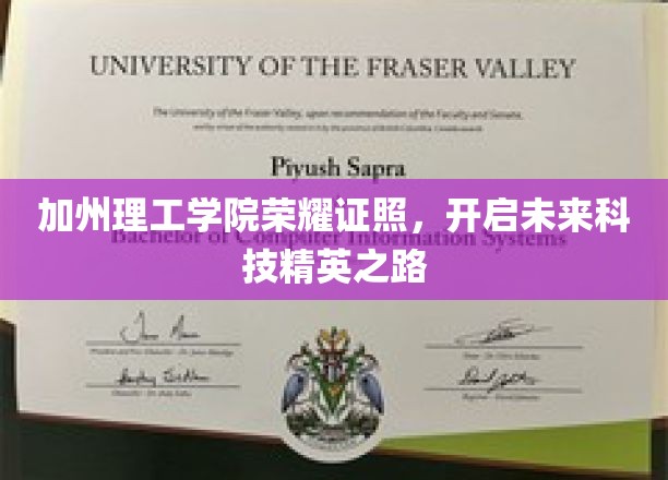 加州理工学院荣耀证书，引领未来科技精英之路