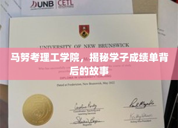 马努考理工学院，揭秘学子成绩单背后的故事