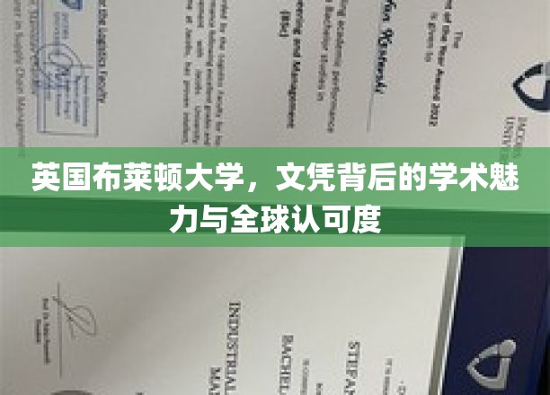 解码布莱顿，文凭背后，全球认可的学术之光