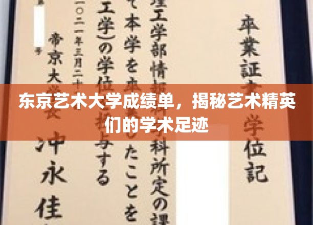 东京艺术大学成绩单，揭秘艺术精英们的学术足迹