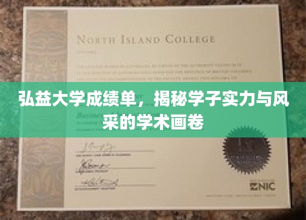 弘益大学成绩单，展现学子实力与风采的学术画卷