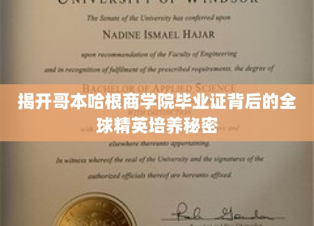 解码哥本哈根精英摇篮，毕业证背后的全球商业精英养成记