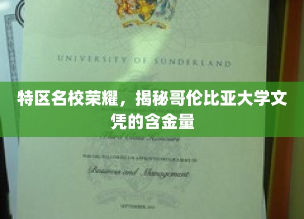 解码特区精英学府，哥伦比亚大学文凭背后的非凡价值