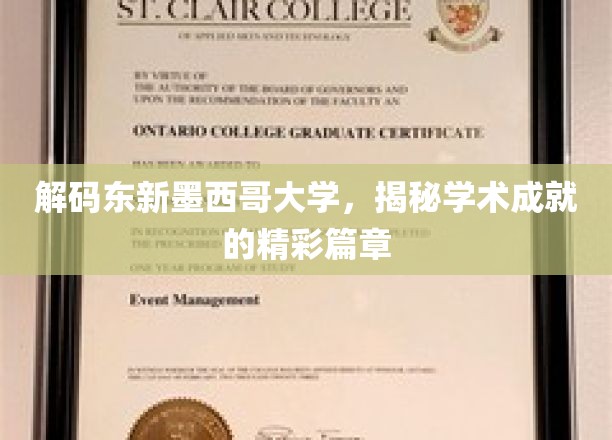 探寻东新墨西哥大学，学术辉煌背后的秘密之旅