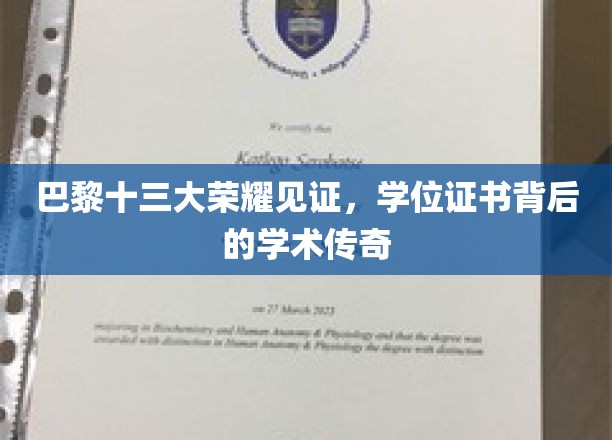 巴黎荣耀之旅，揭秘十三大学位证书背后的学术传奇