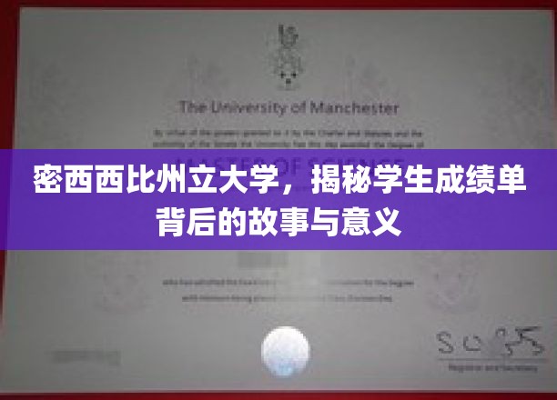 揭开密西西比州大成绩单背后的传奇与启示