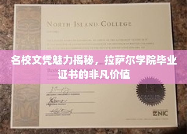 名校文凭魅力揭秘，拉萨尔学院毕业证书的非凡价值