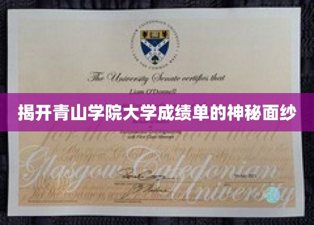 探索青山学院，揭秘那些隐藏在成绩单背后的秘密