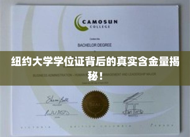 揭秘，纽约大学学位证的实际价值与影响力！