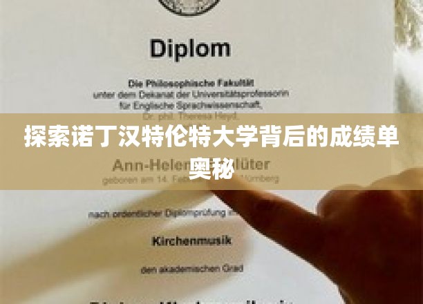 解码诺丁汉特伦特大学卓越成就背后的秘密