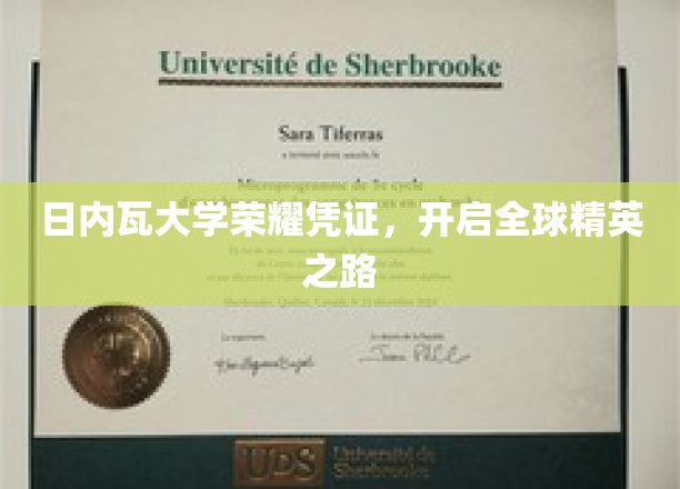 日内瓦大学荣耀凭证，开启全球精英之路