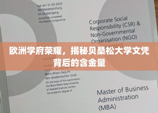 欧洲学术璀璨之星，探寻贝桑松大学学位的非凡价值