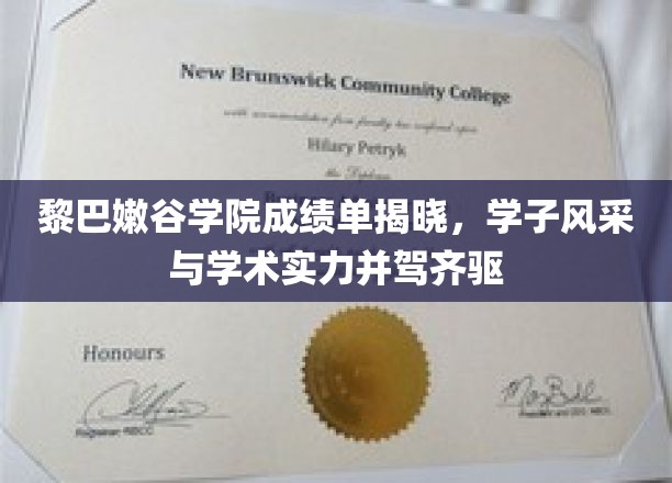 黎巴嫩谷学院成绩单揭晓，学子风采与学术实力并驾齐驱