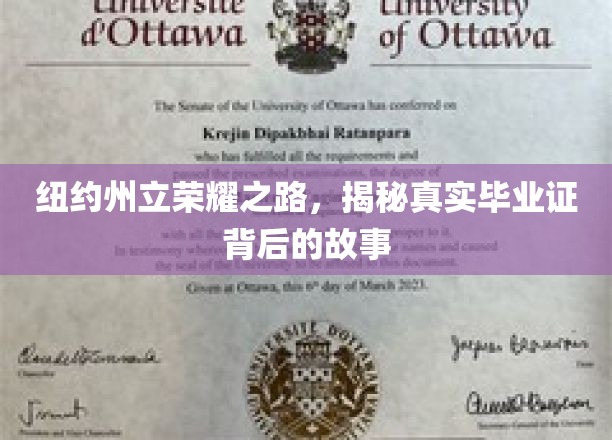 纽约州立传奇揭秘，探寻荣耀毕业证背后的真实历程