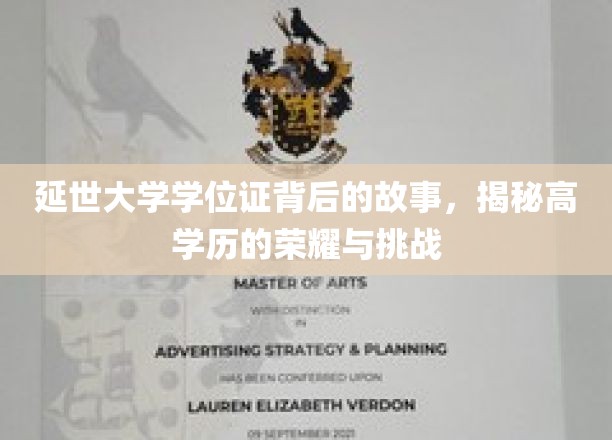延世荣耀，学位证背后的高学历征途与心路历程