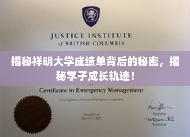 揭秘祥明大学成绩单背后的秘密，揭秘学子成长轨迹！