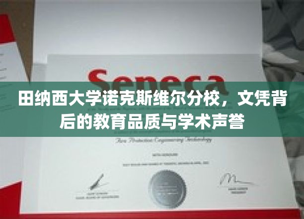 探寻田纳西大学诺克斯维尔分校，文凭背后闪耀的教育魅力与学术光环